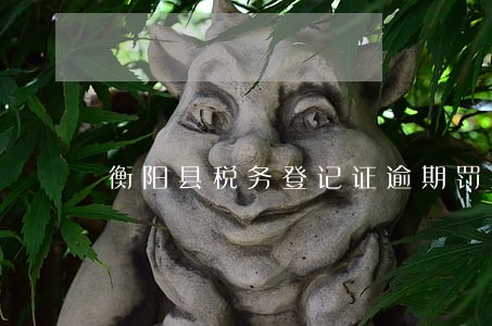 衡阳县税务登记证逾期罚款 衡阳县税务登记证逾期罚款