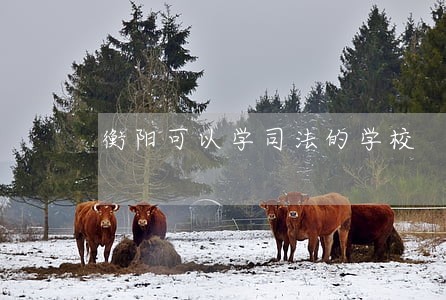 衡阳可以学司法的学校 衡阳可以学司法的学校