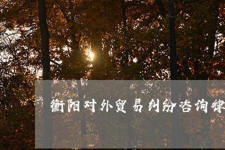 衡阳对外贸易纠纷咨询律师 衡阳对外贸易纠纷咨询律师