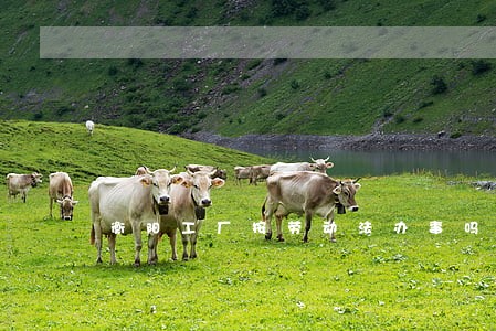 衡阳工厂按劳动法办事吗 衡阳工厂按劳动法办事吗