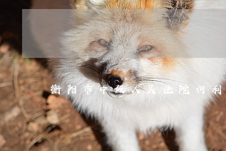 衡阳市中级人民法院何利国