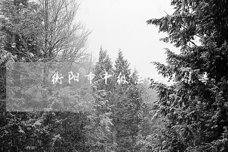 衡阳市中级法院院领导