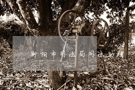 衡阳市司法局司法助理 衡阳市司法局司法助理