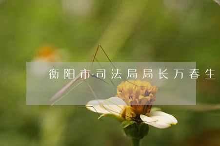 衡阳市司法局局长万春生 衡阳市司法局局长万春生