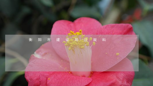 衡阳市建设局法规科