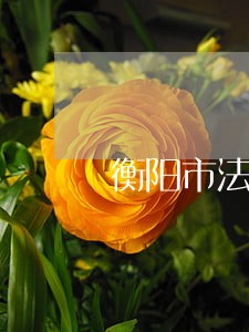 衡阳市法院书记员招聘 衡阳市法院书记员招聘