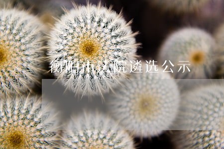 衡阳市法院遴选公示 衡阳市法院遴选公示