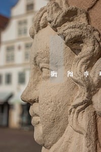 衡阳市珠晖区法院党组