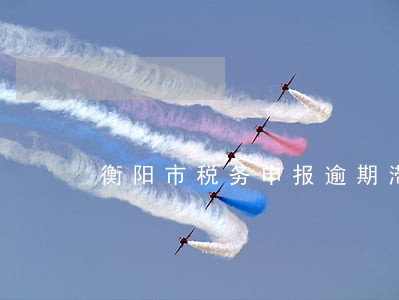 衡阳市税务申报逾期滞纳金6 衡阳市税务申报逾期滞纳金6