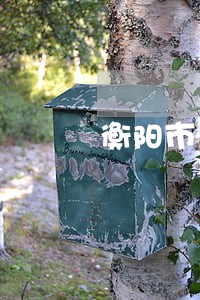 衡阳市蒸湘区法院易善凯 衡阳市蒸湘区法院易善凯