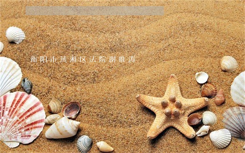 衡阳市蒸湘区法院谢唯涛
