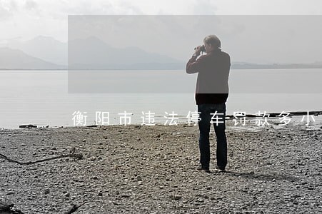 衡阳市违法停车罚款多小 衡阳市违法停车罚款多小
