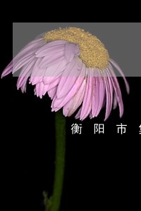 衡阳市集中整治六大交通违法行为