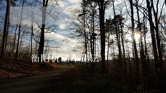衡阳机动车违法 衡阳机动车违法
