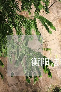 衡阳法院咨询电话
