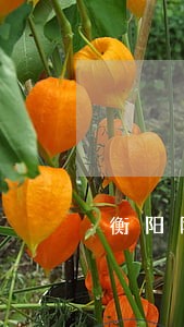 衡阳网贷逾期债务重组怎么协商 衡阳网贷逾期债务重组怎么协商