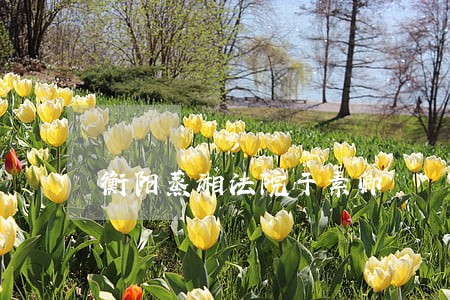 衡阳蒸湘法院于素卿 衡阳蒸湘法院于素卿