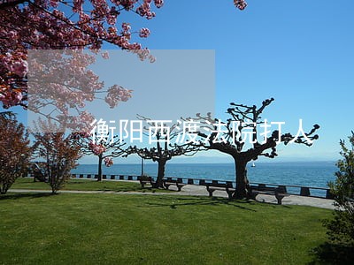 衡阳西渡法院打人 衡阳西渡法院打人