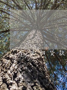 衡阳贷款逾期修复 衡阳贷款逾期修复