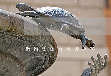 衡阳违法的投资公司 衡阳违法的投资公司