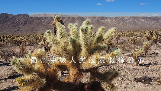 衢州中级人民法院假释公示 衢州中级人民法院假释公示