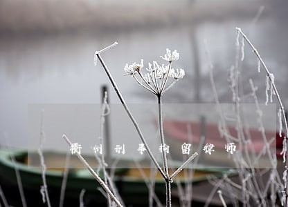 衢州刑事拘留律师