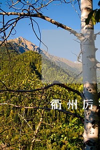 衢州厉害的婚姻律师 衢州厉害的婚姻律师