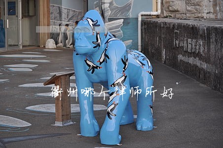衢州哪个律师所好 衢州哪个律师所好