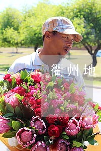衢州地区代理离婚诉讼律师哪个好 衢州地区代理离婚诉讼律师哪个好