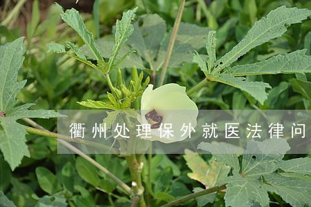 衢州处理保外就医法律问题律师 衢州处理保外就医法律问题律师