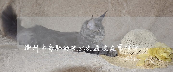 衢州市专职的破坏交通设施罪律师 衢州市专职的破坏交通设施罪律师