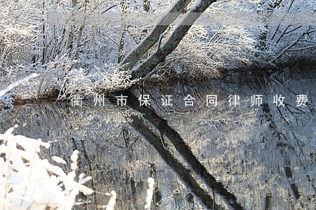 衢州市保证合同律师收费 衢州市保证合同律师收费