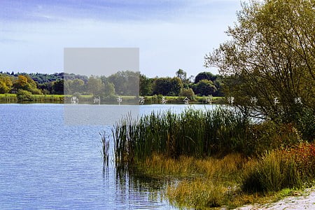 衢州市劳务合同律师在线 衢州市劳务合同律师在线