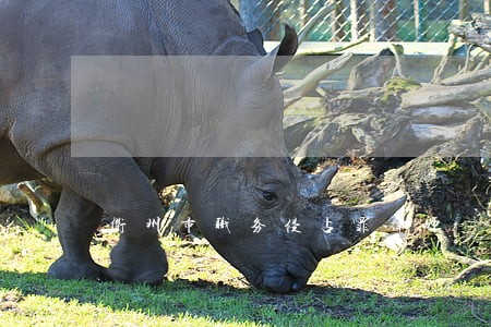 衢州市职务侵占罪律师 衢州市职务侵占罪律师
