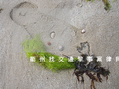 衢州找交通肇事案律师找谁好 衢州找交通肇事案律师找谁好