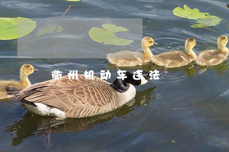 衢州机动车违法 衢州机动车违法
