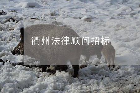 衢州法律顾问招标 衢州法律顾问招标