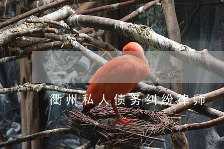 衢州私人债务纠纷律师 衢州私人债务纠纷律师