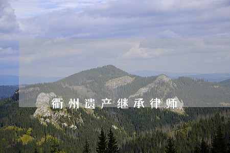 衢州遗产继承律师 衢州遗产继承律师