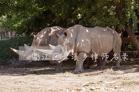 衢江区云溪乡律师名录 衢江区云溪乡律师名录