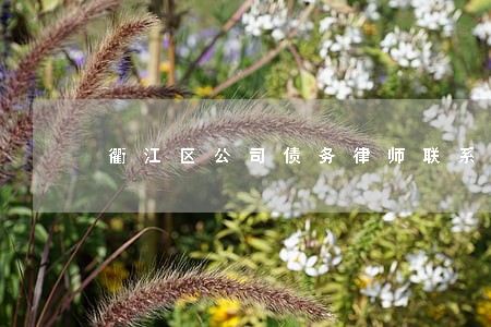 衢江区公司债务律师联系方式 衢江区公司债务律师联系方式