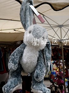 衢江区可靠的离婚律师 衢江区可靠的离婚律师
