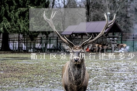 衢江区强制执行律师多少钱 衢江区强制执行律师多少钱