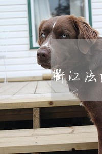 衢江法院拍卖公告 衢江法院拍卖公告