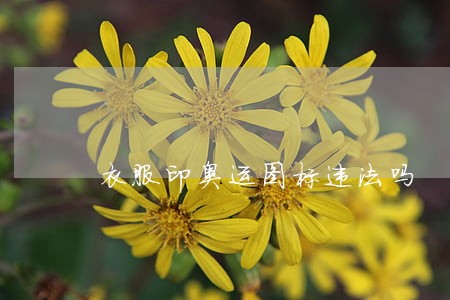 衣服印奥运图标违法吗
