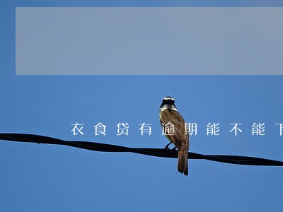衣食贷有逾期能不能下款了 衣食贷有逾期能不能下款了