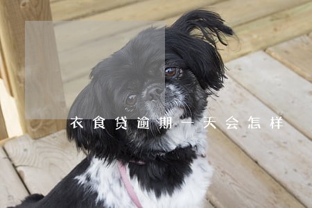 衣食贷逾期一天会怎样 衣食贷逾期一天会怎样