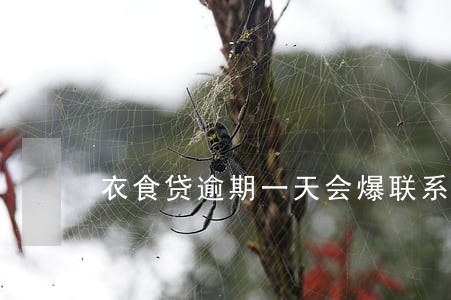 衣食贷逾期一天会爆联系人 衣食贷逾期一天会爆联系人
