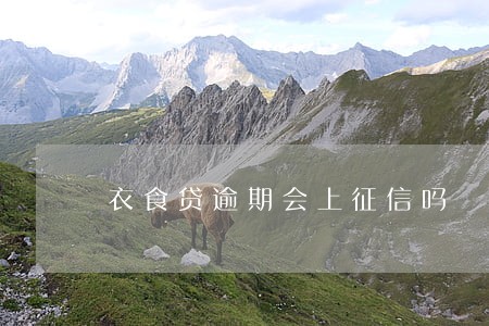 衣食贷逾期会上征信吗 衣食贷逾期会上征信吗