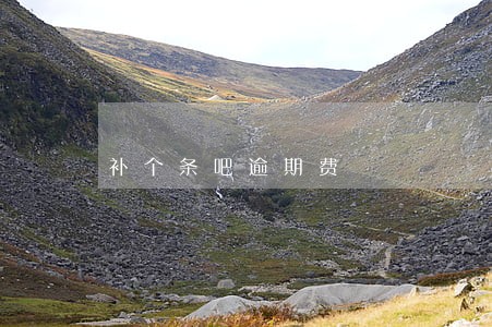 补个条吧逾期费 补个条吧逾期费